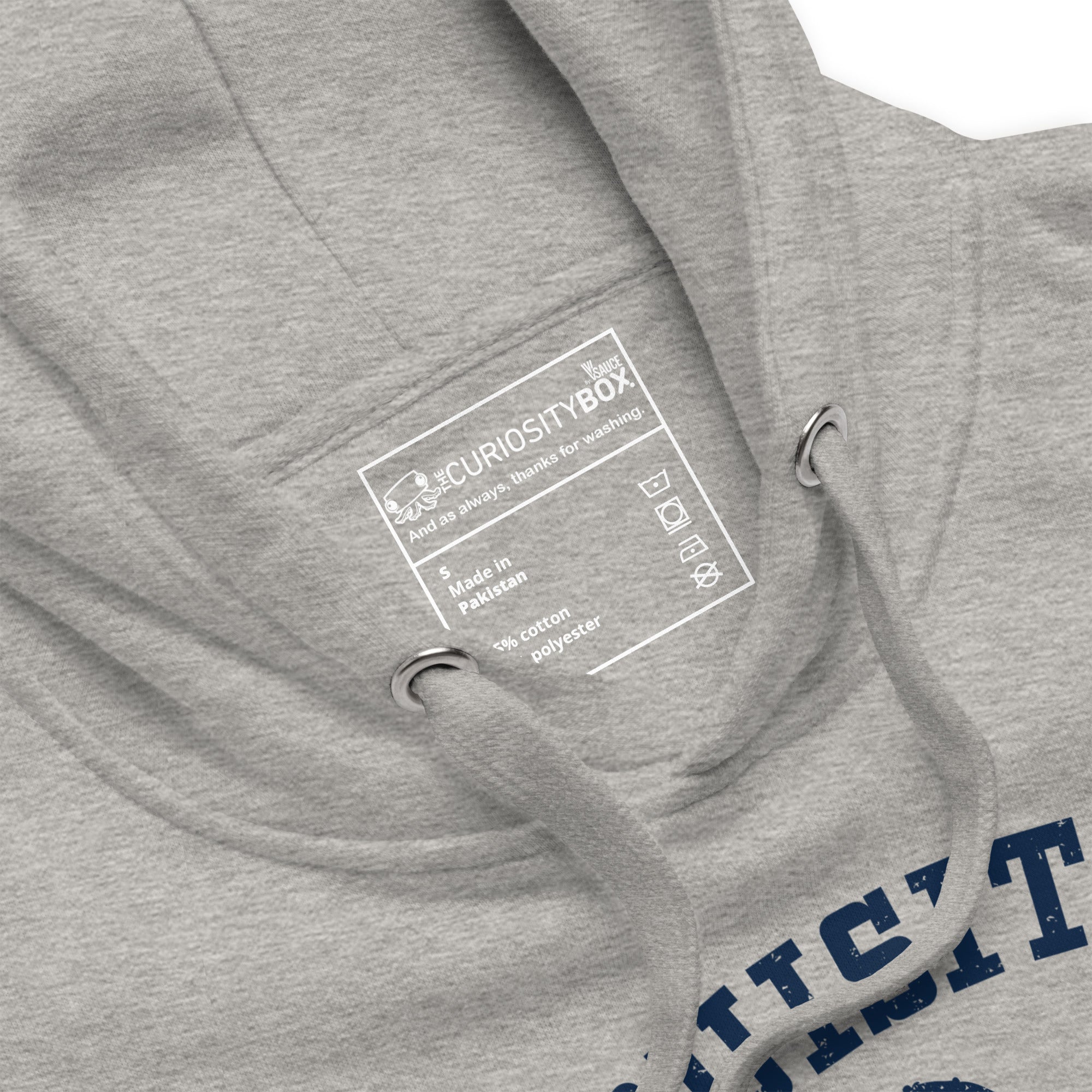 Inquisitive University Hoodie